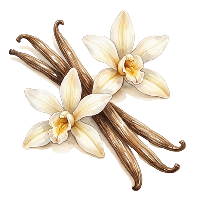 バニラ