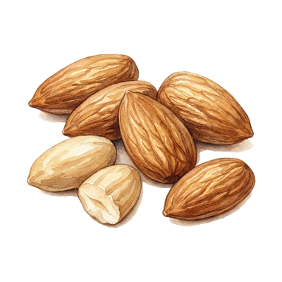 ナッツ